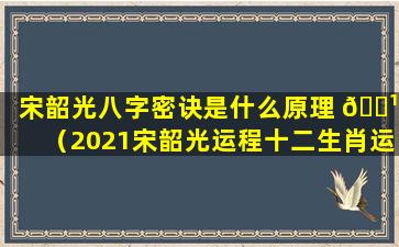 宋韶光八字密诀是什么原理 🌹 （2021宋韶光运程十二生肖运程）